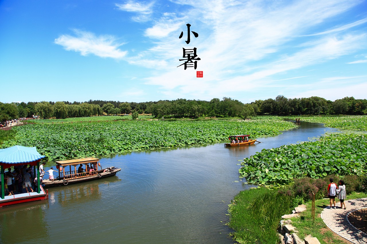 四川营养师培训之小暑养生