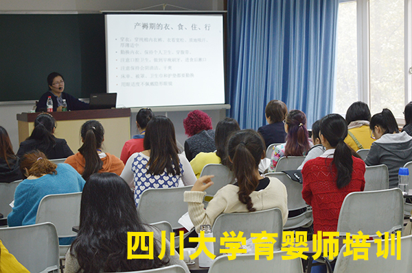 四川大学育婴师精品课程